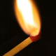 Image for article titled Shooting Challenge: 1/1000 Gallery 2